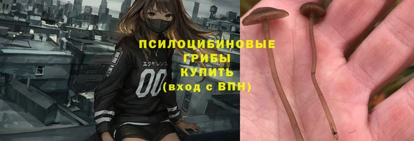 ешки Алзамай