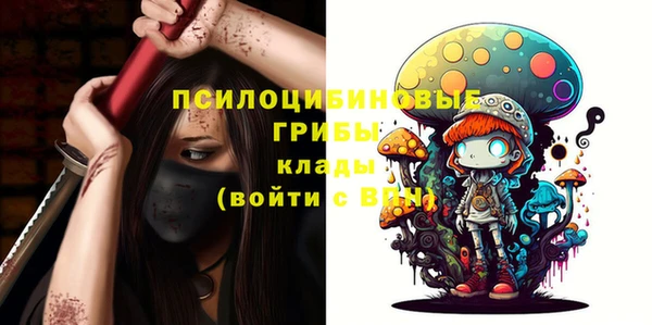 ешки Алзамай